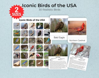 Iconic Birds of USA Flashcards & Poster, Realistic Bird Identification (Digital Download)
