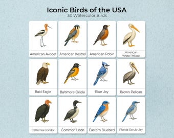 Iconic Birds USA Watercolor Flashcards, Montessori Nature Study (Digital Download)