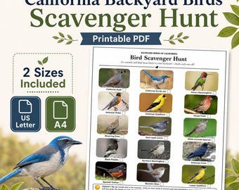 California Backyard Birds Scavenger Hunt — Printable Activity Sheet, 15 Birds, US Letter + A4, PDF