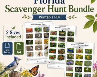 Florida Scavenger Hunt Bundle — Birds, Butterflies, Wildflowers, Printable PDF, US Letter + A4