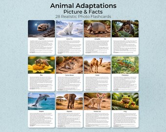 Animal Adaptations Flashcards, Realistic Photos, Montessori Biology (PDF)