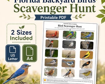 Florida Backyard Birds Scavenger Hunt — Printable Activity Sheet, 15 Birds, US Letter + A4, PDF