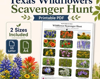 Texas Wildflowers Scavenger Hunt — Printable Activity Sheet, 15 Wildflowers, US Letter + A4, PDF