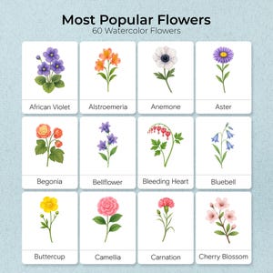 60 Most Popular Flowers Flashcards, Realistic Watercolor Botanical Cards, Montessori Cards, Nomenclature Cards, Educational Material,PDF
