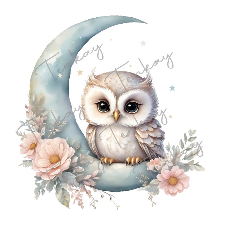Pu&ograve; includere: Un gufo bianco con grandi occhi marroni &egrave; seduto su una luna crescente blu con fiori rosa e foglie verdi. La luna ha un effetto acquerello ed &egrave; circondata da stelle.