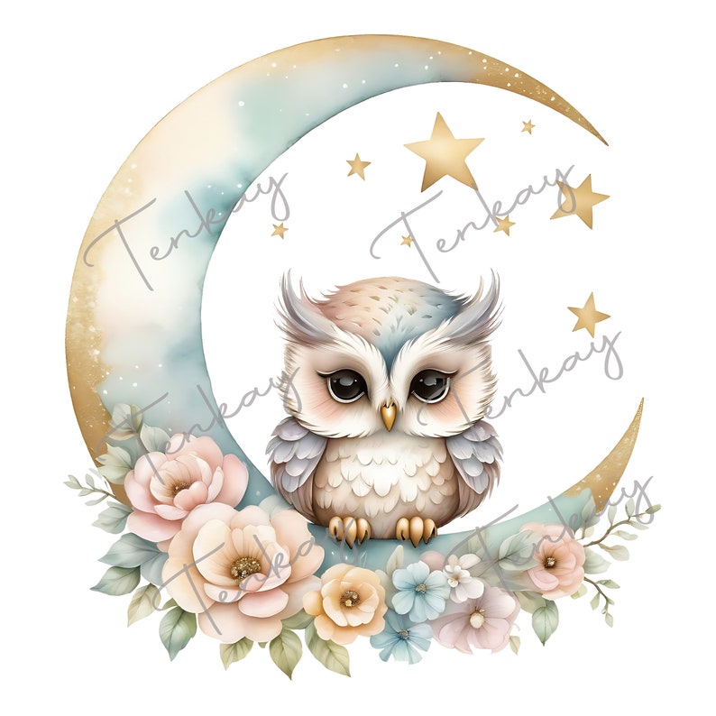 Pu&ograve; includere: Un'illustrazione ad acquerello di un gufo carino appollaiato su una luna crescente con accenti dorati. La luna &egrave; circondata da delicati fiori rosa e blu e foglie verdi. Ci sono stelle dorate sparse intorno alla luna.