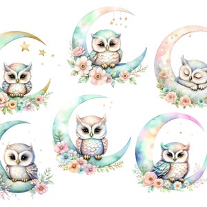 Pu&ograve; includere: Sei illustrazioni ad acquerello di gufi appollaiati su lune crescenti con accenti floreali. Ogni gufo &egrave; raffigurato in una posa diversa, alcuni dormono e altri guardano direttamente lo spettatore. Le lune sono dipinte in tonalit&agrave; di blu, verde e rosa, e i fiori sono un mix di rosa, bianco e blu.