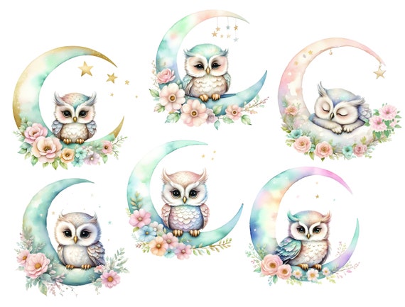 Cute Owl Art, Owl clip art, shabby chic png, junk journal art, watercolor owl, Baby Owl, nursery room clip art