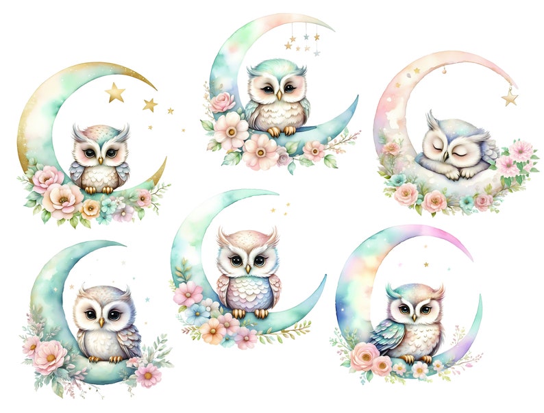 Pu&ograve; includere: Sei illustrazioni ad acquerello di gufi appollaiati su lune crescenti con accenti floreali. Ogni gufo &egrave; raffigurato in una posa diversa, alcuni dormono e altri guardano direttamente lo spettatore. Le lune sono dipinte in tonalit&agrave; di blu, verde e rosa, e i fiori sono un mix di rosa, bianco e blu.