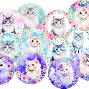 Círculo de gato, sublimación redonda, ambientador png, llavero redondo png, posavasos para automóvil png, paquete png redondo, diseños circulares