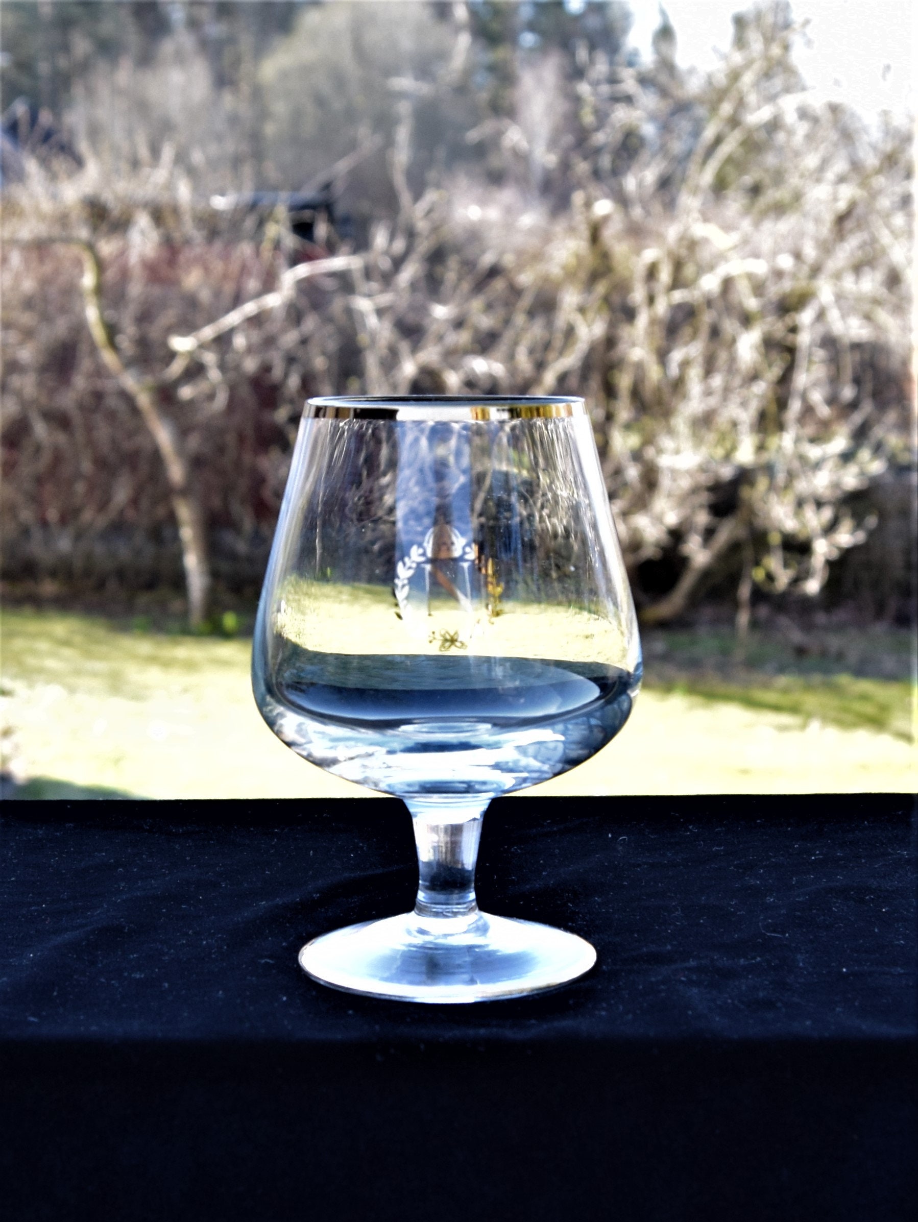 6 Napoleon Brandy Cognac snifters Gold top and foot rim like Etsy