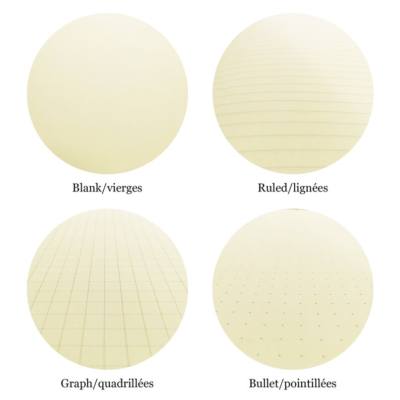May include: Four different types of paper: blank, ruled, graph, and bullet. Each type is shown as a circle with a textured background.