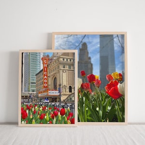 Chicago Wall Art, Chicago Printable, Lente in Chicago Set, Tulpen in Chicago, Chicago Wall Art, Chicago Fotografie