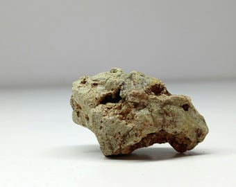 1-2 1/2インチの恐竜の糞、化石化した糞石、天然の岩石鉱物標本