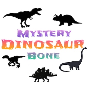 May include: A white background features black dinosaur silhouettes, including a Tyrannosaurus Rex, Triceratops, and Stegosaurus. The text "MYSTERY DINOSAUR BONE" is displayed in colorful, gradient lettering, adding a playful touch to the design.