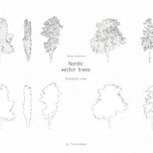 Landschaftsarchitektur Set von 5 Vektor nordischen Bäumen Illustrator