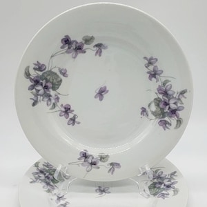 Può includere: Due piatti in porcellana bianca con un delicato disegno floreale con violette viola. I piatti hanno un design semplice ed elegante.