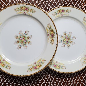 Vintage Set of 2 ROYAL CHINA JAPAN 9.75&quot; Dinner Plates- Multi Color Floral- Blk/Tan Rim
