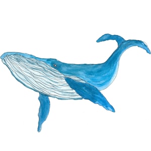 Watercolor Whale Print