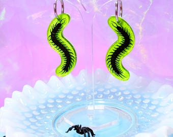 Gummy Centipede Earrings, Laser Cut Acrylic Earrings, Insect Earrings, Halloween Earrings