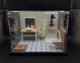 Jumping Spider Enclosure (Bathroom #1)