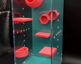 Jumping Spider Enclosure (Starter Enclosure CUSTOM)