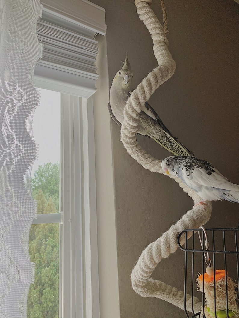 Pet Bird Boing/Bendable Cotton Rope Perch Etsy