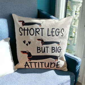 Dachshund Throw Pillow: Adorable Sausage Dog Print, Home Decor (40x40)
