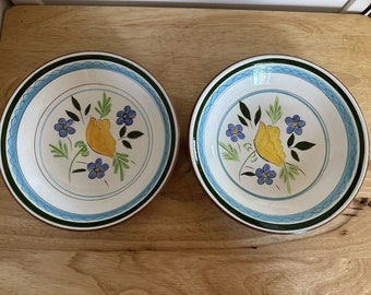 Vintage Stangl Aardewerk Country Garden Groentekom 7,5" Floral Set van 2