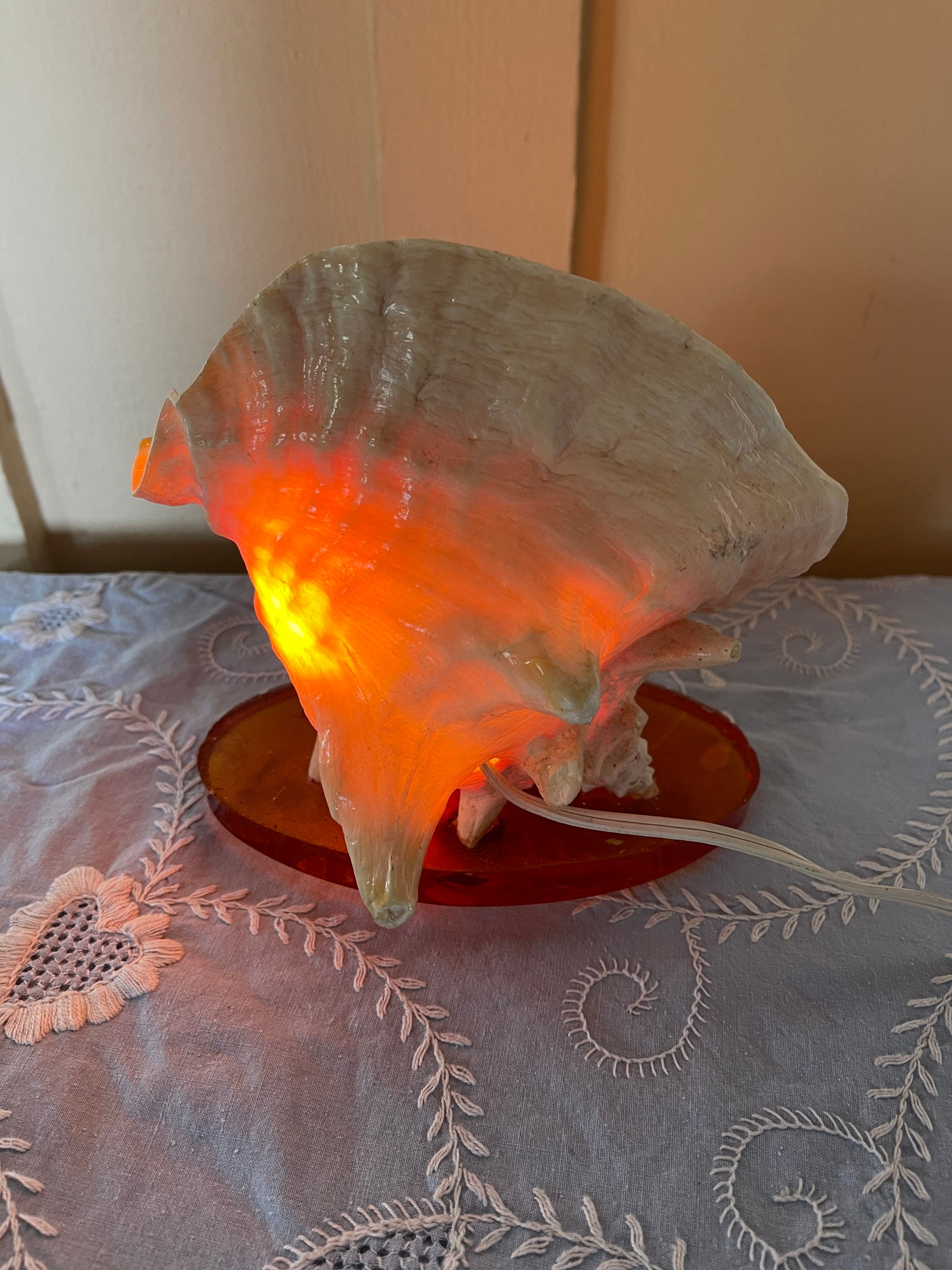 Vintage Conch Shell Lamp Vintage Seashell Light Beach House Etsy