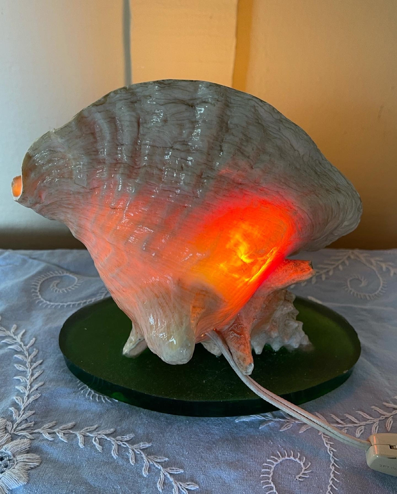 Vintage Conch Shell Lamp Vintage Seashell Light Beach House Etsy