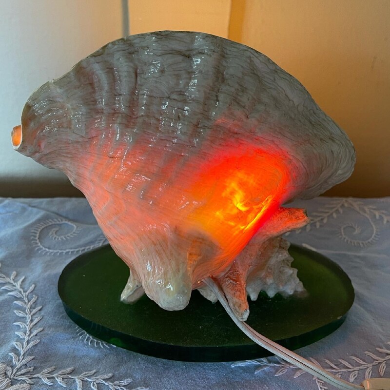 seashore decorating seashore decorating