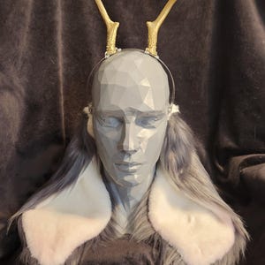 Jumbo Lop and Lop Rabbit Custom Ears Tails and Accessories Cosplay Customizable Costume