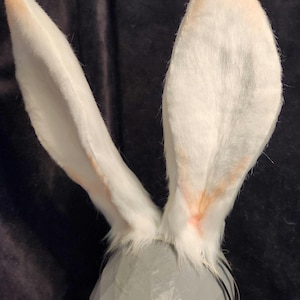 Viera 10 inch Rabbit Custom Ears Tails and Accessories Cosplay Customizable Poseable Costume