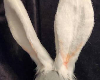 Viera 10 inch Rabbit Custom Ears Tails and Accessories Cosplay Customizable Poseable Costume