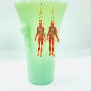 Human Anatomy Dangle Earrings, Medical Diagram Jewelry, Lightweight Nickel Free Earrings, Custom Made To Order, Stainless Steel