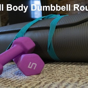 Full Body Dumbbell Routine