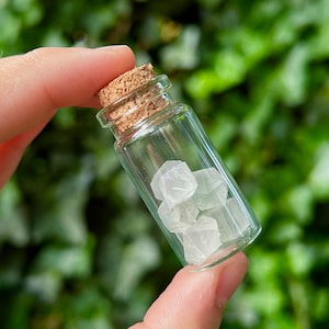 May include: A small glass bottle with a cork stopper, filled with white crystals. The bottle is held in a hand against a green leafy background.