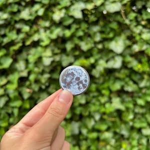 May include: A round, silver-toned button featuring a detailed depiction of the moon's surface. The button is held against a backdrop of lush, green foliage. The moon design includes craters and shading, creating a realistic effect.