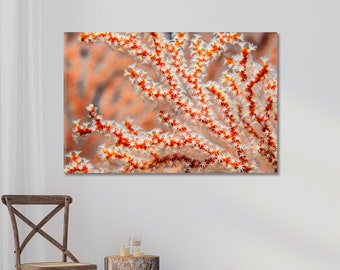 Sea Fan Coral Home Decor Wall Art Sea Life Wall Art Underwater Art Canvas Interior Design