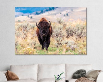 American Bison Canvas Print American Bison Wall Art For Home American Buffalo Office Art