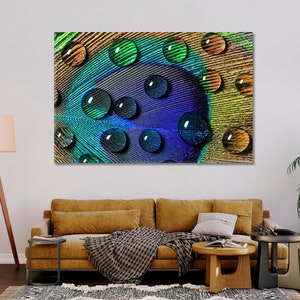 Peacock Feather With Drops Fine Art Photography Canvas Print Peacock Feather Wall Art