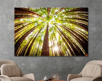 Sequoia Trees Poster Print Canvas Home Decor Sequoia Wall Art Ready to Hang