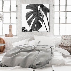 Współczesna sztuka ścienna z liśćmi Monstera | Czarno-biała sztuka z liśćmi Monstera | Wydruk na płótnie z liśćmi Monstera