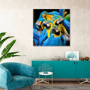 Blue and Gold Macaw Parrot Wall Art Parrot Canvas Wall Decor