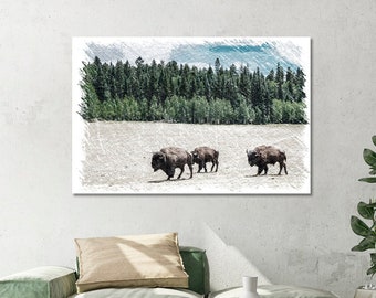 American Bison Canvas Wall Decor, Buffalo Pictures on Canvas, American Bison Print Canvas Decor