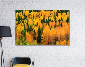 Autumn Forest Canvas Print for Living Room & Home Decorations, Forest Large Wall Decor