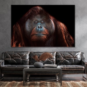 Orangutan Framed Art Decor, Orangutan Canvas Print, Monkey Wall Art, Animals Art Print