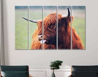 Stampe su tela raffiguranti adorabili mucche delle Highlands / Decorazioni per la casa con mucche delle Highlands scozzesi / Decorazioni murali per interni in stile fattoria