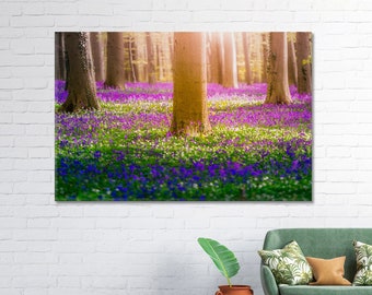 Creative Decor Bluebell Flowers Wall Art Hallerbos Forest Belgium Fine Art Photo Giclee Print